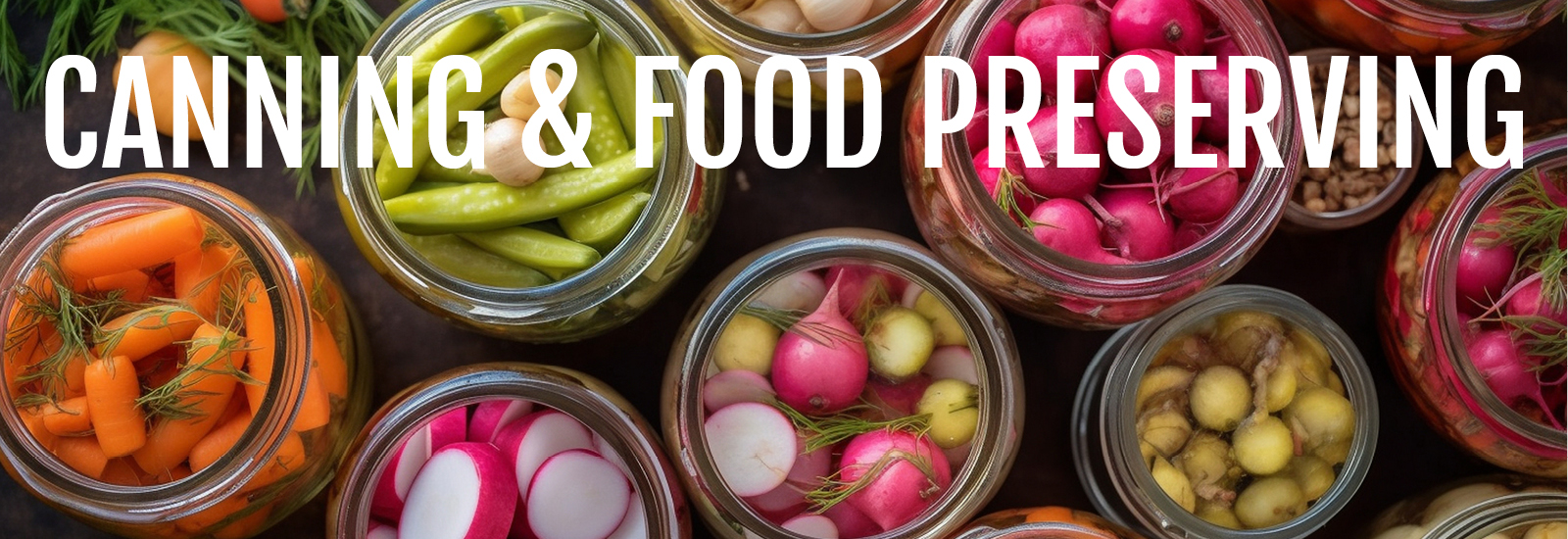 Find everything for canning, freezing, drying, and preserving the summer's bounty and the fall hunt at Smith and Edwards Co!
